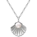 Cultured Freshwater Pearl (5mm) Shell Pendant Necklace, 16 Cultured Freshwater Pearl (5mm) Shell Pendant Necklace, 16